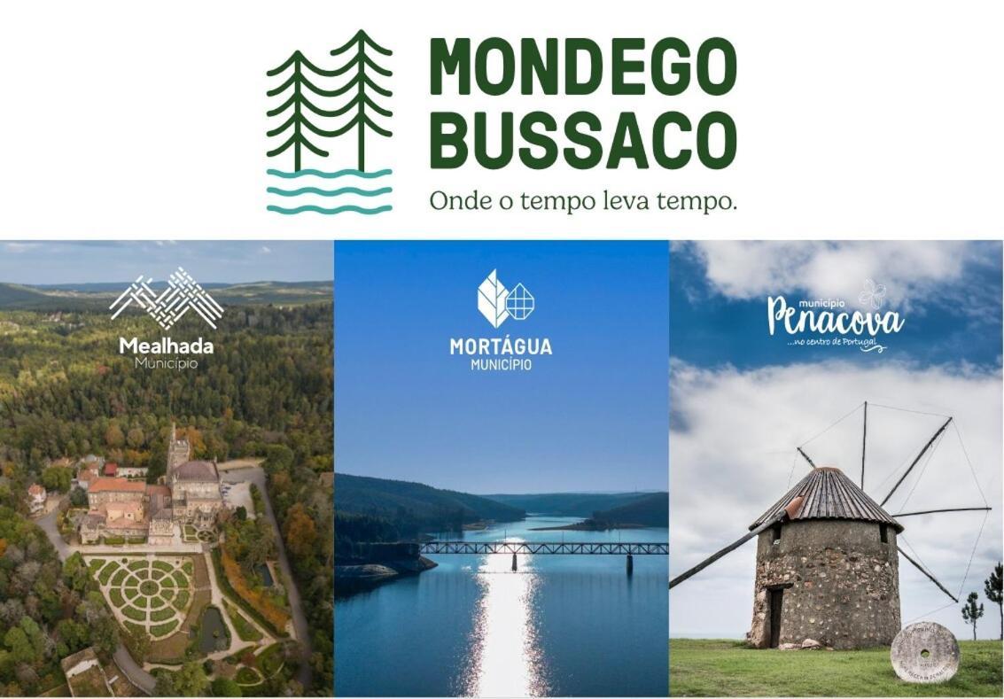 Mimosa Village - Turismo De Natureza Mortágua Kültér fotó